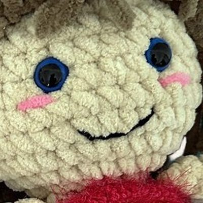 Close-up of the stitches, cropped from the same photo