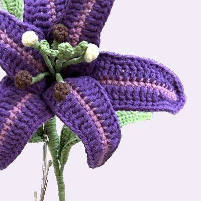 Close-up of the stitches, cropped from the same photo