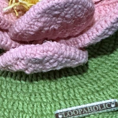 Close-up of the stitches, cropped from the same photo