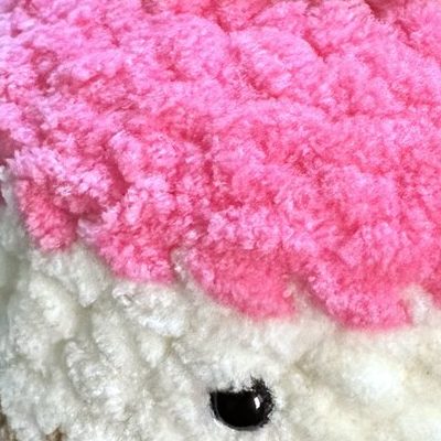 Close-up of the stitches, cropped from the same photo