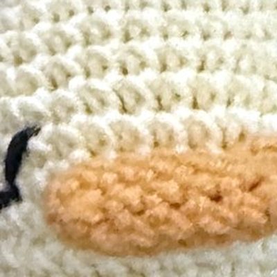 Close-up of the stitches, cropped from the same photo