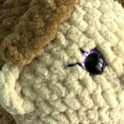 Close-up of the stitches, cropped from the same photo