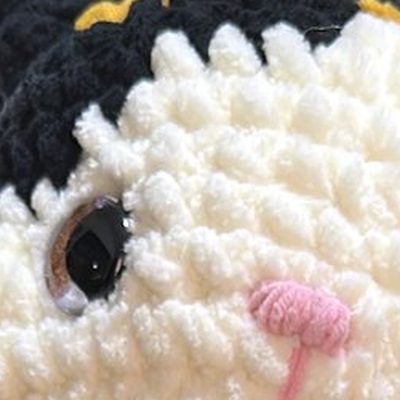 Close-up of the stitches, cropped from the same photo