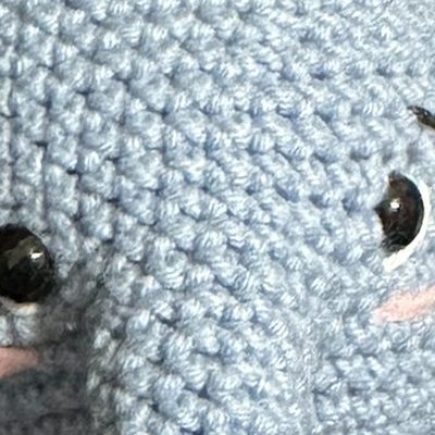 Close-up of the stitches, cropped from the same photo