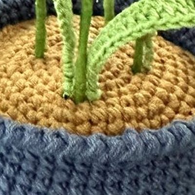 Close-up of the stitches, cropped from the same photo